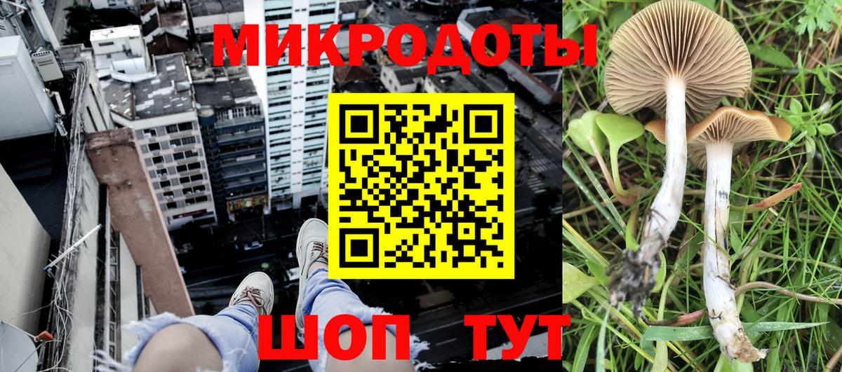 Псилоцибиновые грибы мухоморы  Галлюциногенные грибы Psilocybine cubensis  Вход с VPN  Чусовой 